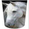 Amputee Sock BTKA, "Horse Headshot V2", 3PLY Residual Wound, Over Shrinker Sock view 1