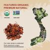 52USA Organic Star Anise, 16 Ounce (Pack of 1), NON-GMO Verified Chinese Star Anise Whole, Dried Star Anise Pods for Tea and baking view 3