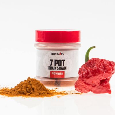 Pepper Joes 7 Pot Brain Strain Pepper Powder Extremely Hot Chili Powder Rub 1/2oz Shaker Jar Finely Ground Pure Hot Pepper Powder for Spicy Cooking (3 Pack)