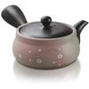 Gyokuro, Issaku and Gokuzyo Aracha teas and Japanese Teapot Tokoname Kyusu Set from Japanese Green Tea Co  Premium Japanese Green Tea Assortment  Delicate Flavor view 2