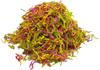 Stephanie Imports Made In USA 3-Ply Crinkle Cut Shredded Paper 2 lbs (Easter Blend) view 2