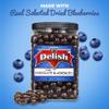 Gourmet Dark Chocolate Blueberries by Its Delish, 3 LBS Jumbo Container Jar | Dark Chocolate Covered Fruit with Real Dried Blueberries | Kosher and Vegan Snack view 2