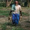 A.K. Sky Life Balam Kheera Dry - Balam Khera - Kigelia africana - 100 Grm view 2