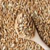 Food to Live - Dry Roasted Sunflower Seed Kernels with Himalayan Salt, 1 Pound  Oven Roasted Lightly Salted, No Shell, Vegan, Kosher, Bulk. view 4