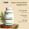 AMG Naturals Olive Leaf - No Binders, No Fillers, Just Pure Herbal Support - 120 Capsules view 4
