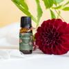 Edens Garden in The Garden Essential Oil Blend- 100% Pure Premium Grade, Undiluted, Natural, Therapeutic, Aromatherapy, The Best for Diffusing, Skin, Candle, Laundry 10 ml (.33 fl oz) view 2