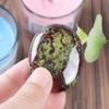 1.8 Inch Dragon Blood Chakra Crystals, Thumb Worry Stones for Anxiety, Adult Sensory Items for Woman or Man, Anxiety Relief Items Fidget view 3