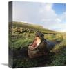 12 x 18 in. Southern Elephant Seal Bull in Wallow, Campbell Island, New Zealand Art Print - Tui De Roy view 1