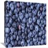 12 x 18 in. Bilberry Group, North America Art Print - Gerry Ellis view 1