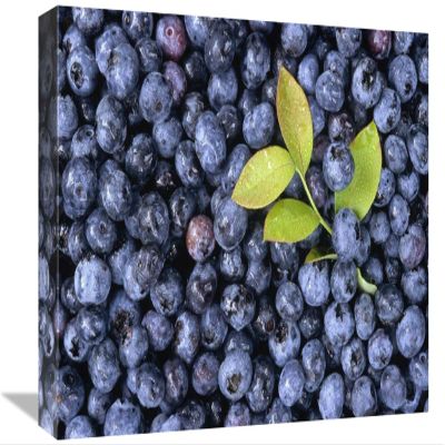 12 x 18 in. Bilberry Group with Small Branch, North America Art Print - Gerry Ellis