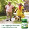 Nature's Truth Quercetin | 585mg | Potent Bioflavonoid | 30 Capsules | Non-GMO & Gluten Free Supplement view 4
