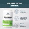 Ancient Nutrition Vegetarian Collagen Peptides, Collagen Peptides Powder, Collagen Powder with Natural Flavor, Prebiotics and Probiotics, Supports Healthy Skin, Hair, Joints, Digestion, 28 Servings view 3