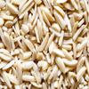 Bulk Slivered Almonds Blanched 25 Pound Wholesale Box view 2