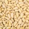 Bulk Pine Nuts 25 Pound Wholesale Box view 1