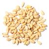 Bulk Pine Nuts 25 Pound Wholesale Box view 2