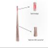 1 Piece of 32 inch Multi-Surface Sturdy Outdoor Authentic Coconut Leaf Broom Asian Heavy Duty Broom Thai Natural Coconut Leaf Broom (Country Rustic) view 3