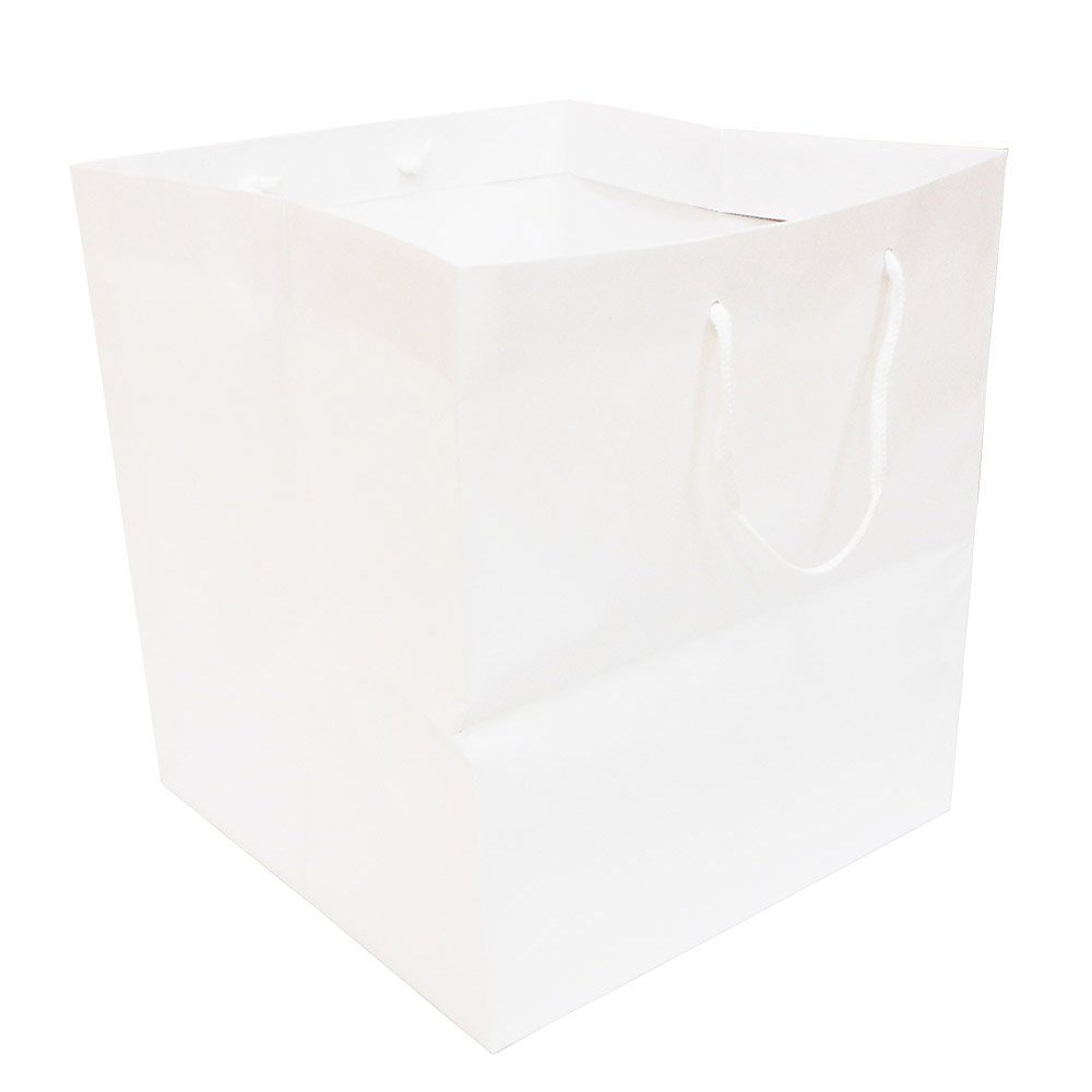Ehime Paper Work PMATI-S5P Pocket Wide Paper Bags, Small, Pack of 5, White
