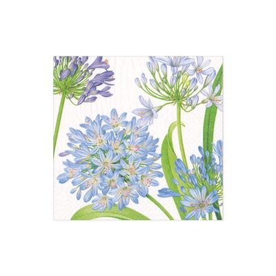 Caspari Agapanthus Flower Garden Party Paper Cocktail Napkins, Two Packs of 20
