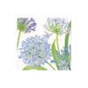 Caspari Agapanthus Flower Garden Party Paper Cocktail Napkins, Two Packs of 20 view 1