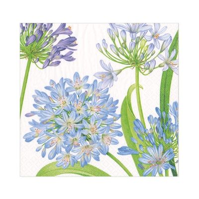 Caspari Agapanthus Garden Paper Luncheon Napkins, Four Packs of 20