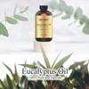 First Botany, 100% Pure Eucalyptus Oil - Premium Eucalyptus Essential Oil for Aromatherapy, Massage, Topical & Household Uses - 1 fl oz view 2