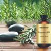 First Botany, 100% Pure Rosemary Essential Oil - Premium Rosemary Oil for Aromatherapy, Massage, Topical & Household Uses - 1 fl oz (Rosemary) view 2