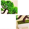 LSHAOBO Small Artificial Bonsai Tree Fake Potted Pine Tree Bonsai Plant Fake Bonsai, Suitable for Window Sill Garden Desktop Display,7 Inches view 3