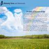 Large Blue Velvet Rainbow Bridge Cremains Bags for Ashes 10-Pack - Large Size 10"L x 12"H - for Holding 230 Cubic Inches of Pet Cremains - Includes Plastic Bags for Ashes view 3