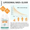 Orgabay Liposomal NAD+ Supplement 500 mg, High Absorption, Boost NAD+ with TMG 250 mg, Actual NAD Plus More Efficient Than Nicotinamide Riboside, Support Cellular Energy, Healthy Aging | 60 Softgels view 4