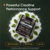 NatureBell Creatine Monohydrate Powder - 500g - Micronized Powder - Delivers 5,000mg Creatine Per Serving - Pre-Workout or Post-Workout Support* - Vegan & Keto Friendly - Unflavored view 2