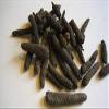 DKM Chavya (Chavak) Pipal Badi - ?????? - Pippali Piper - Longum Long Pepper - ledi pipal (100 GMS) view 2