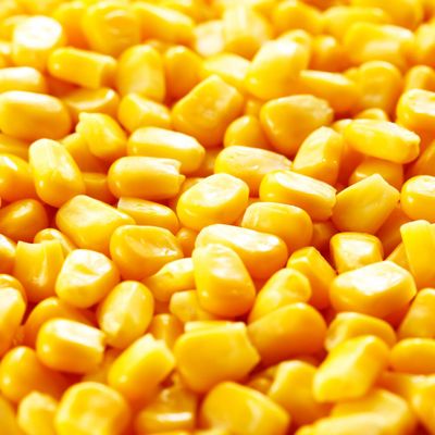22 Pounds Yellow Whole Kernel Corn Ideal for Wildlife, Cooking, and Cornmeal - Food for Deer, Squirrels and More