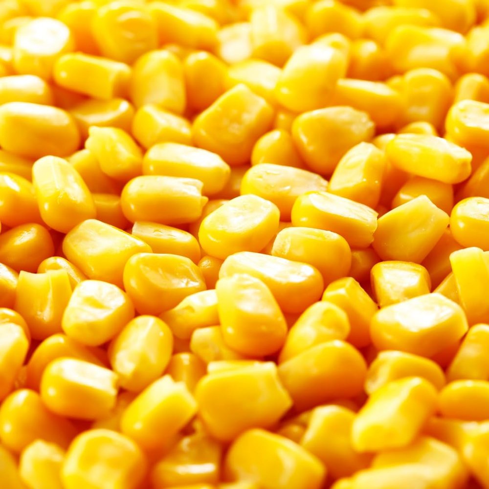 22 Pounds Yellow Whole Kernel Corn  Ideal for Wildlife, Cooking, and Cornmeal - Food for Deer, Squirrels and More