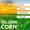 22 Pounds Yellow Whole Kernel Corn  Ideal for Wildlife, Cooking, and Cornmeal - Food for Deer, Squirrels and More view 2