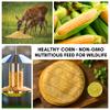 22 Pounds Yellow Whole Kernel Corn  Ideal for Wildlife, Cooking, and Cornmeal - Food for Deer, Squirrels and More view 3