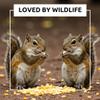 22 Pounds Yellow Whole Kernel Corn  Ideal for Wildlife, Cooking, and Cornmeal - Food for Deer, Squirrels and More view 4