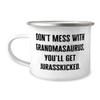 Unique Grandma, Don't Mess With Grandmasaurus, You'll Get Jurasskicked, Unique Mother's Day 12oz Camping Mug From Grandmom view 1