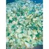 1/2 Pound Grade A++Aventurine Semi Tumbled Gemstone Mini Chips 5 -11 wholesale view 3