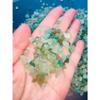 1/2 Pound Grade A++Aventurine Semi Tumbled Gemstone Mini Chips 5 -11 wholesale view 4