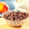 FITWISE - High Protein Cereal, 15g Protein, Low Sugar, Ideal Protein Compatible, 5 Servings Per Box (Cocoa) view 4