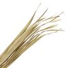 47th & Main 12-Count Dried Botanical Dcor, 36" Long, Sun Palm Leaves view 1
