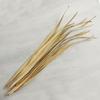 47th & Main 12-Count Dried Botanical Dcor, 36" Long, Sun Palm Leaves view 2