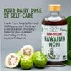 Healing Noni - 100% Pure RAW Noni Juice - USDA Organic, Premium Strength, Cold Pressed, Hawaiian-Grown Superfood - (32oz, 2 Pack) view 2