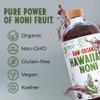 Healing Noni - 100% Pure RAW Noni Juice - USDA Organic, Premium Strength, Cold Pressed, Hawaiian-Grown Superfood - (32oz, 2 Pack) view 4