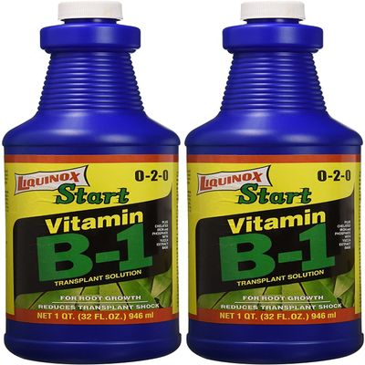 1 0-2-0 Vitamin B1 Start, 1 Quart (wo ack)