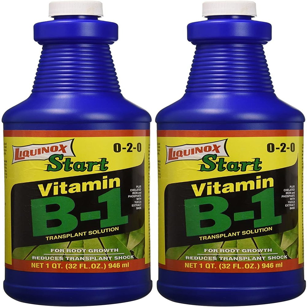 1 0-2-0 Vitamin B1 Start, 1 Quart (wo ack)