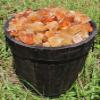 1/4 lb Bulk Lot Natural Rough Honey Calcite (Raw Crystal, Caramel Calcite) 4 oz view 2