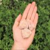 1/4 lb Bulk Lot Natural Rough Sunstone, Raw Rock Stone Crystal Healing 4 oz view 3