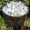 1/2 lb Bulk Lot Natural Rough Rainbow Moonstone Crystals (Raw Reiki Rocks 8 oz) view 2
