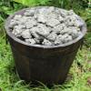 1000 Carat Bulk Lot Rough Natural Pyrite Chispa (Raw Gemstone Crystal 200 Grams) view 3